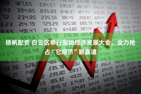 扬帆配资 白云区举行宠物经济发展大会，全力抢占“它经济”新赛道